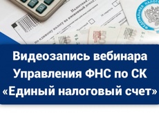 Ответы на вопросы налогоплательщиков  о Едином налоговом счете размещены на сайте ФНС