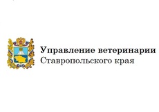 Краевое управление ветеринарии провело семинар-совещание для представителей бизнеса